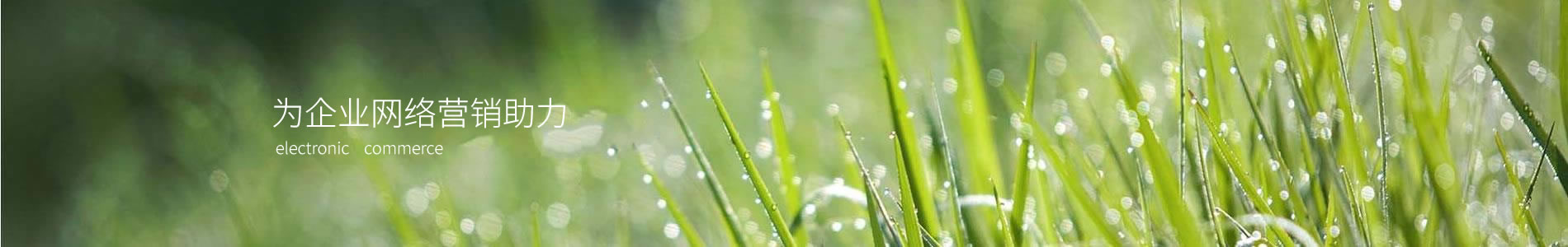 ֣ݷǷչ޹˾